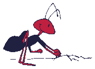 animated-gifs-ants-42
